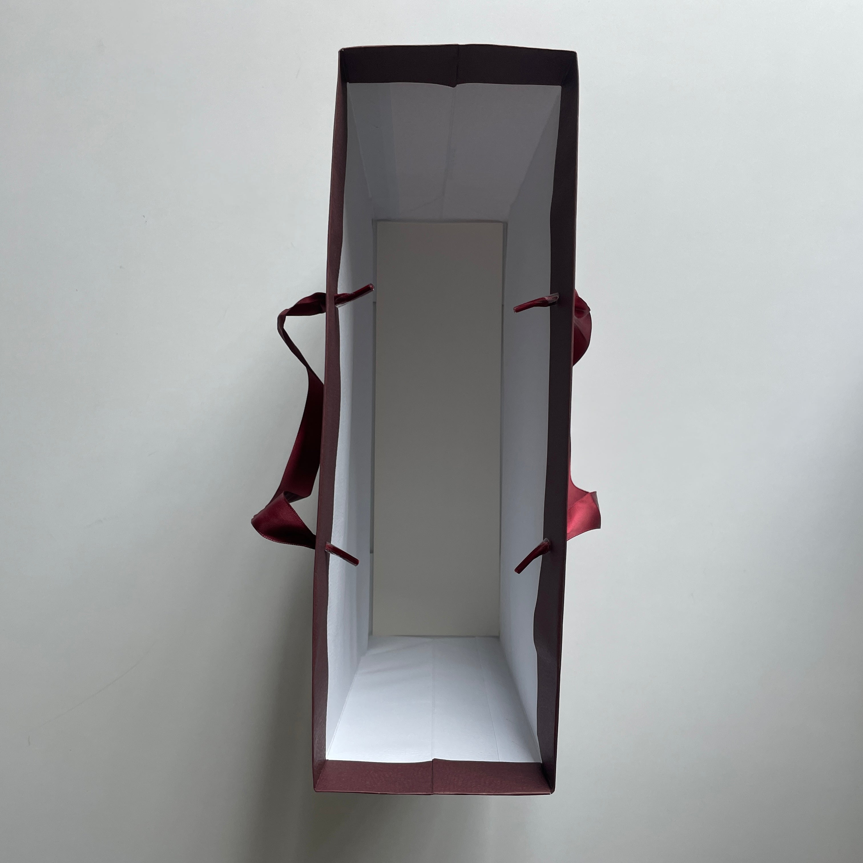 TR Paper Bag Medium